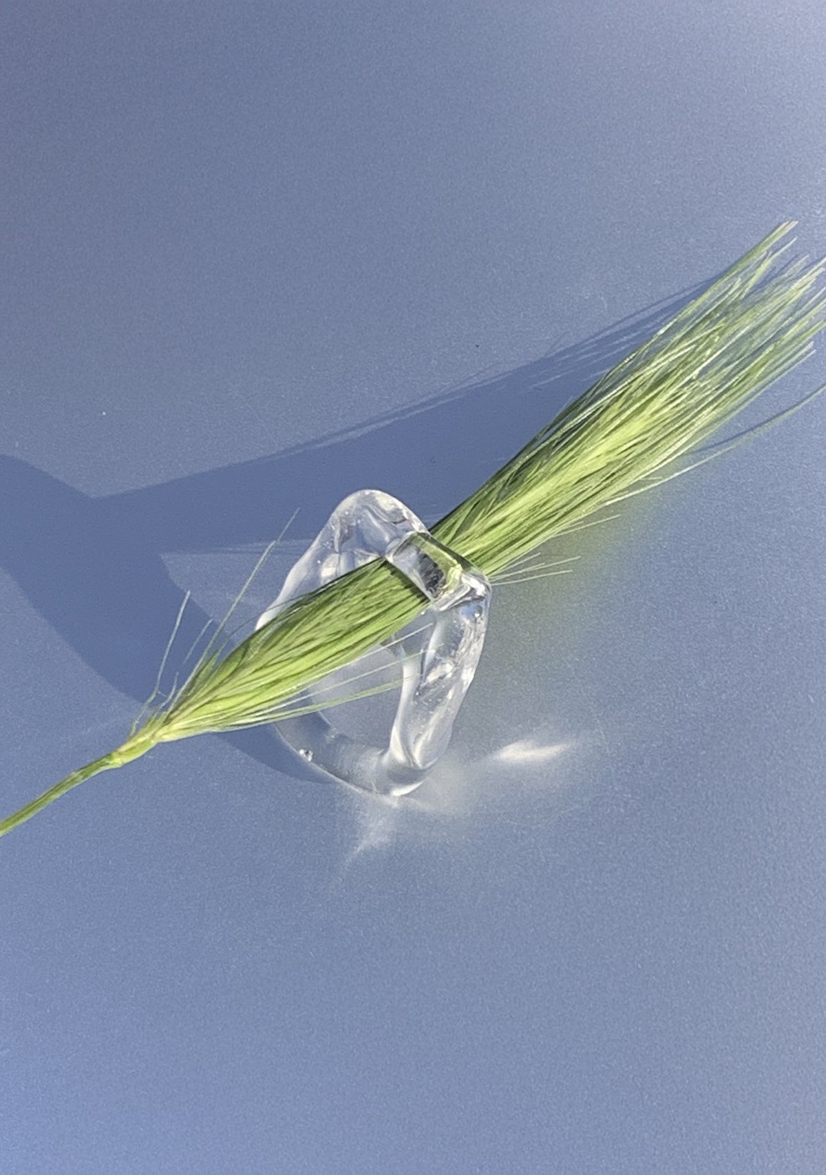 Flower-Picking Glass Ring 0132 holding a flower