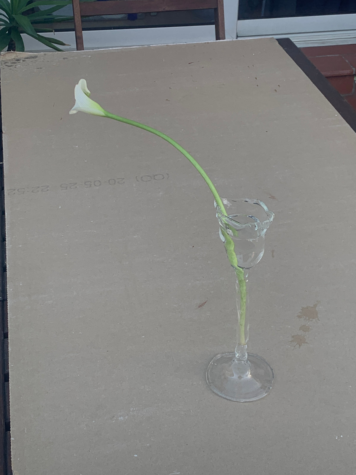 Glasses 0004 in clear hand-sculpted borosilicate glass with a single stem, Rain and Rivers