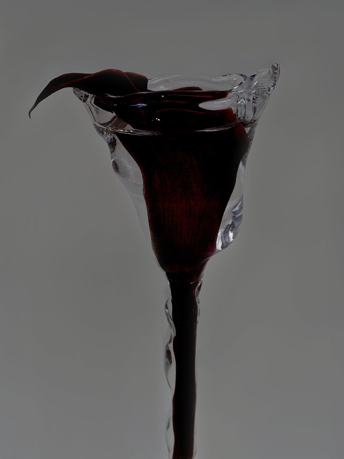 Glasses 0004 in hand-sculpted borosilicate glass with a dark calla lily, Rain and Rivers, Barcelona