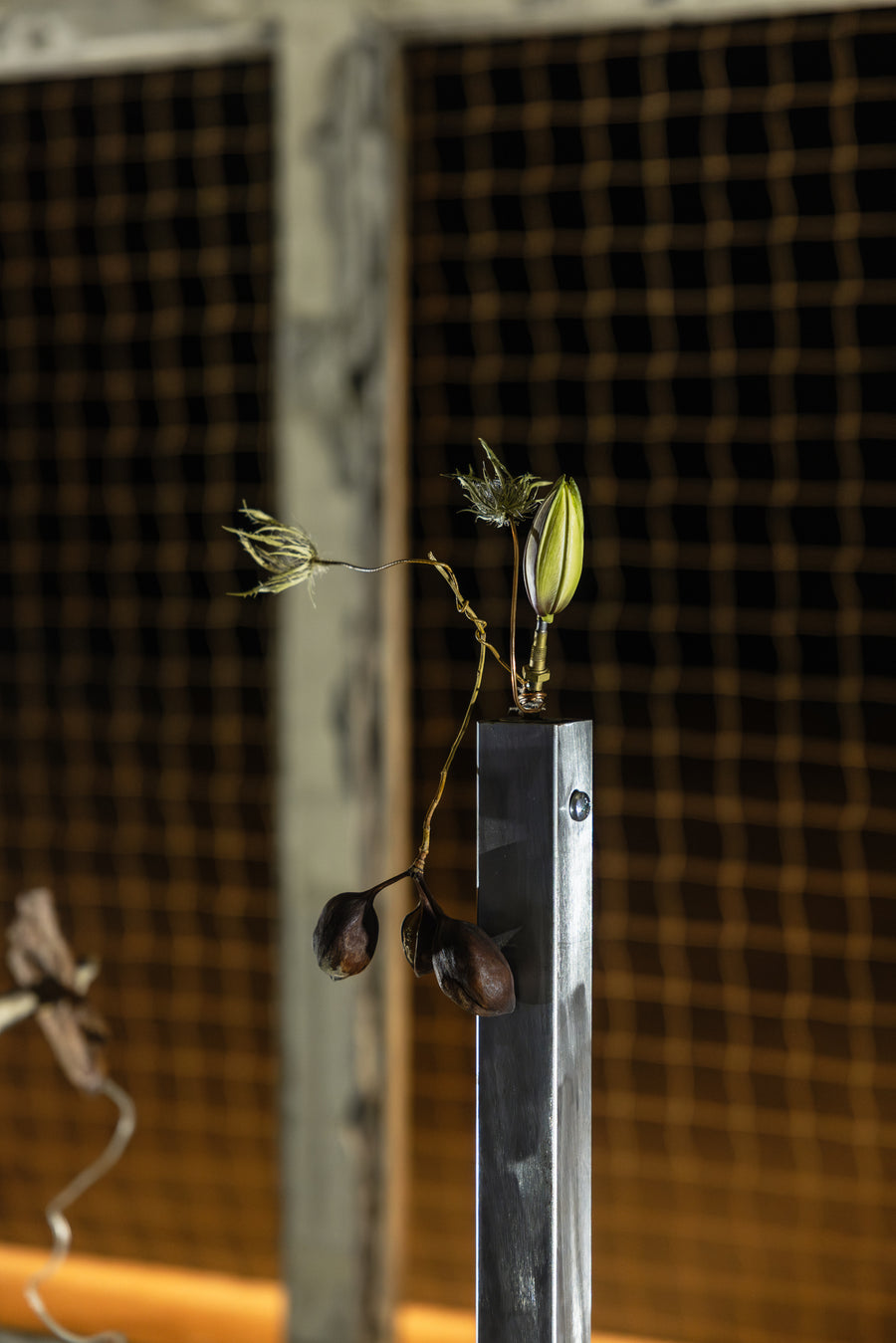 A Practice of Porosity, Turbina - Mira Festival (2025), site-specific sound installation by Magdalena Hart, image 10 of 10