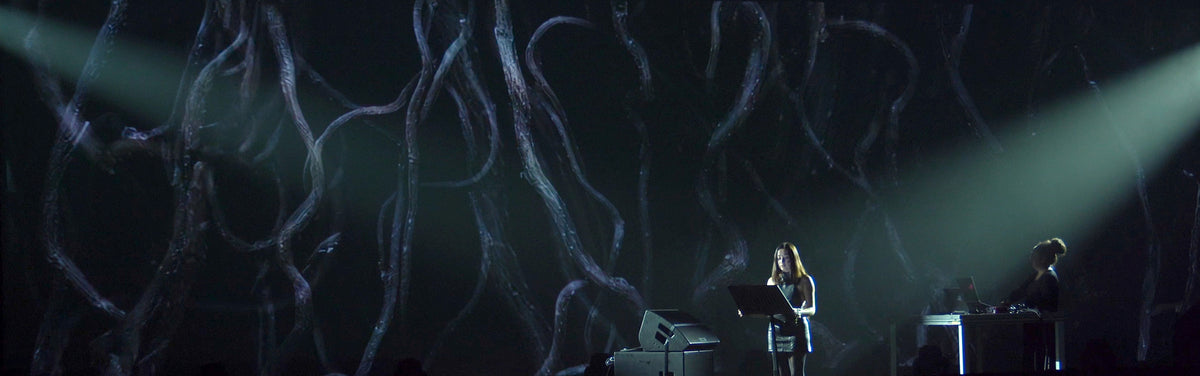 A Skin of Soil (2025), live audiovisual performance by Magdalena Hart, image 1 of 2