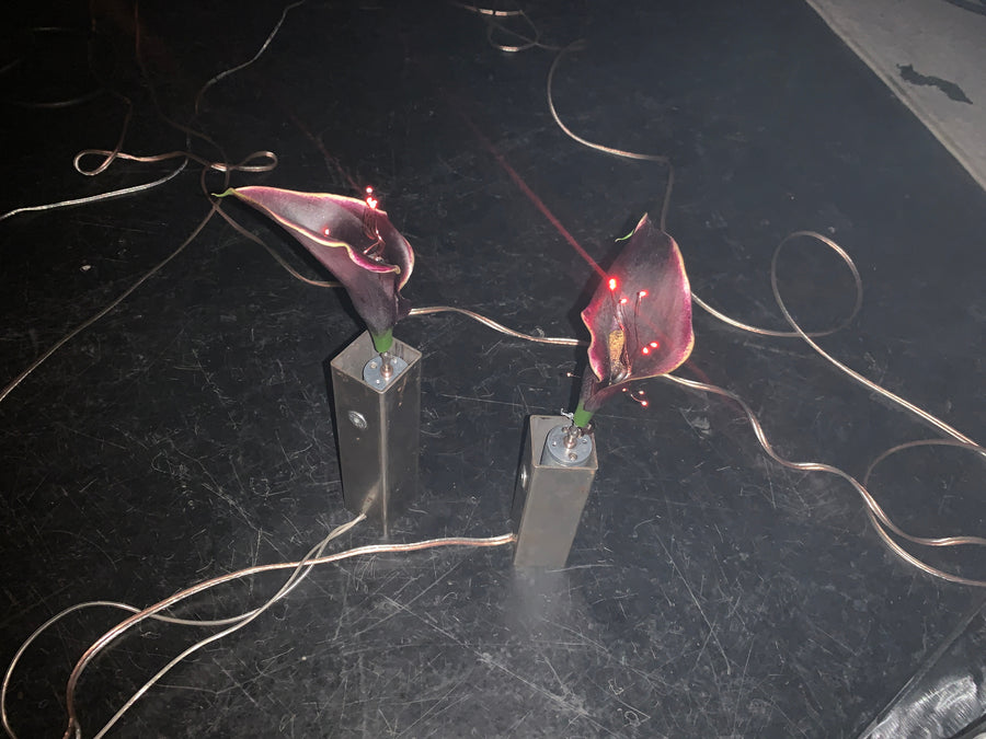 Acción y Destino (2026), lighting choreography with motorized sculptures and glass lamps by Magdalena Hart, image 4 of 11