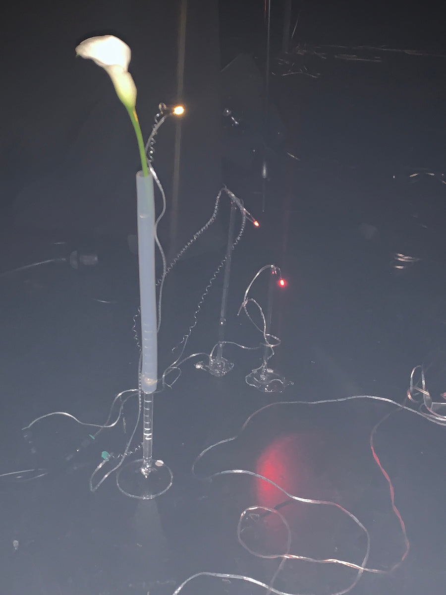 Acción y Destino (2026), lighting choreography with motorized sculptures and glass lamps by Magdalena Hart, image 6 of 11