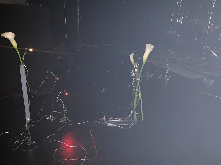 Acción y Destino (2026), lighting choreography with motorized sculptures and glass lamps by Magdalena Hart, image 11 of 11