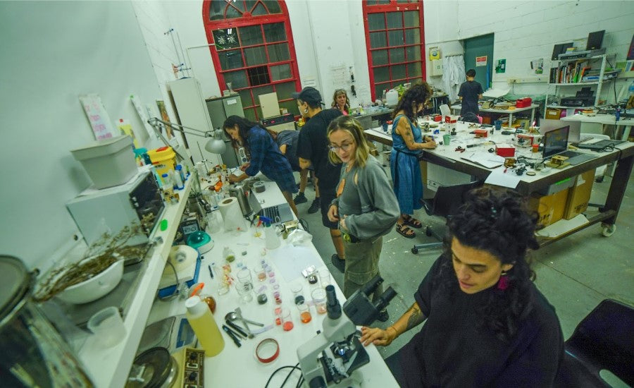Manglar (2024), transdisciplinary art and science collective with Magdalena Hart, image 2 of 5