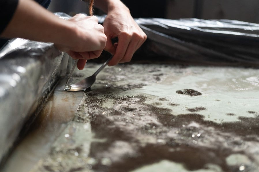 Manglar (2024), transdisciplinary art and science collective with Magdalena Hart, image 3 of 5