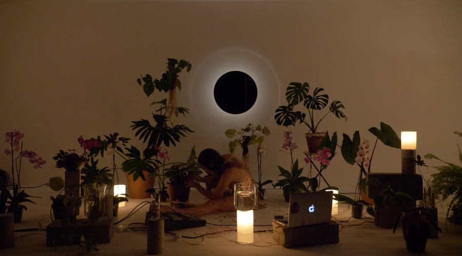Paisaje Sonoro (2021 - 2022), performance and installation with plants and glass by Magdalena Hart, image 5 of 5