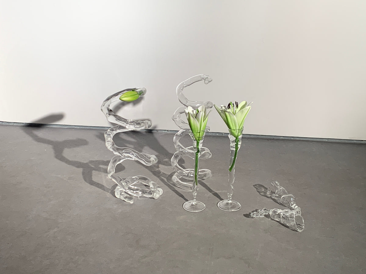 Spiral blown glass sculptures holding white flowers on a concrete floor