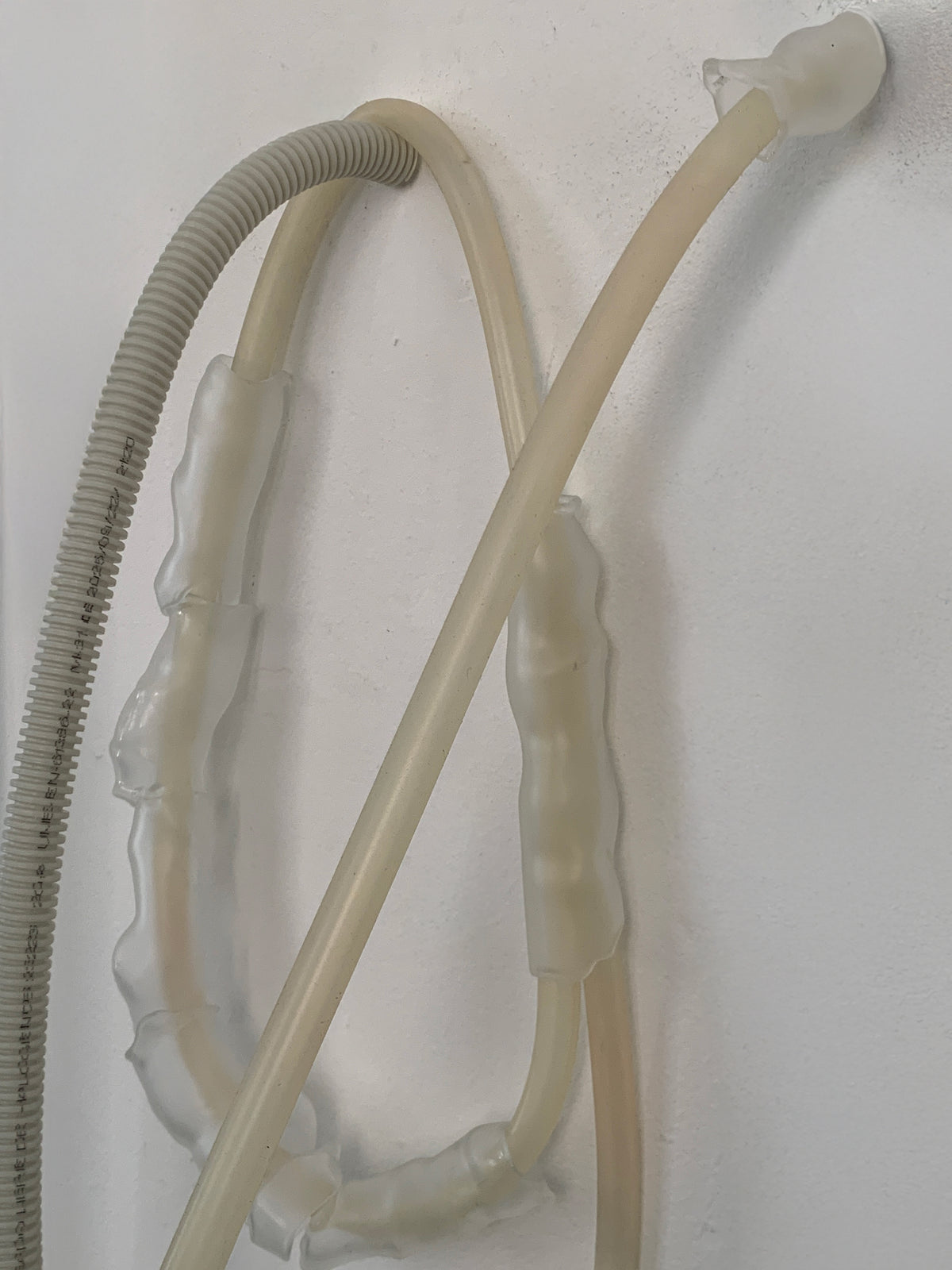 Coiled blown glass tube sculpture by Magdalena Hart, close-up